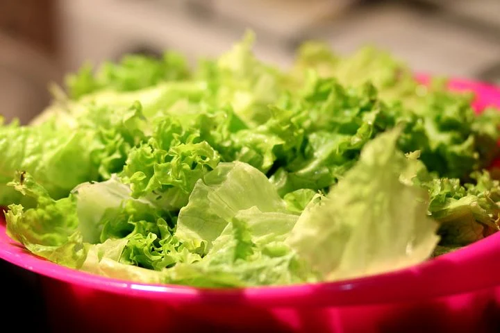 Dyrking Av Salat
